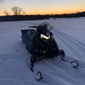 Meet your Posher, Wyatt